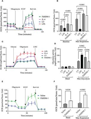 The helminth derived peptide FhHDM-1 redirects macrophage metabolism towards glutaminolysis to regulate the pro-inflammatory response